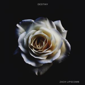 Destiny (Explicit)