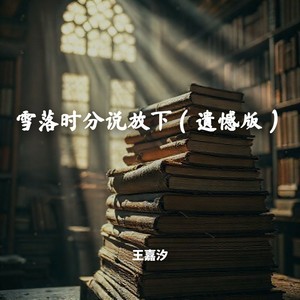 雪落时分说放下 (遗憾版)