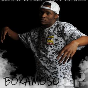 BOKAMOSO EP