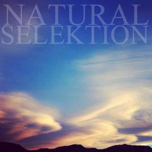 The Wayward Traveler (feat. Natural Selektion)