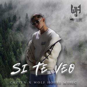 Si Te Veo (feat. Wolf House Music)