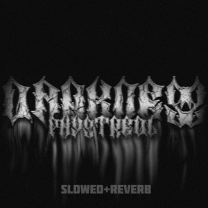 Darkness (Slowed+reverb) (Explicit)