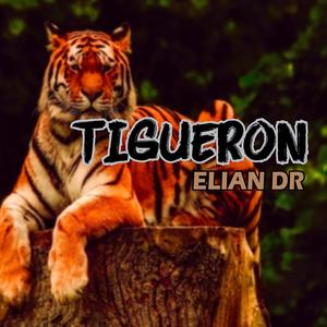 TIGUERON