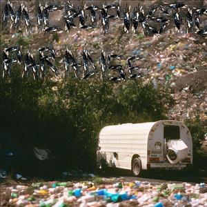 microplastic paradise