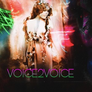 VOICE2VOICE