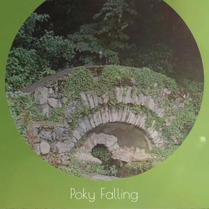 Poky Falling