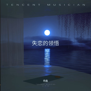 失恋的领悟 (E调吉他男声伴奏)