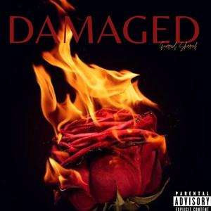 Damaged (Explicit)