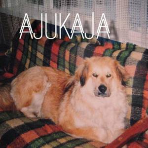 Ajukaja