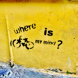 Where Is My Mind?