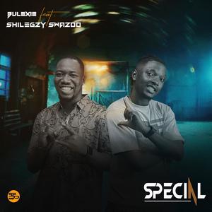 SPECIAL (feat. Shilegzy swazzo)