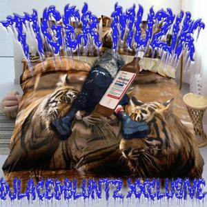 tiger muzik (Explicit)