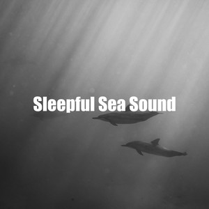 Sleepful Sea Sound