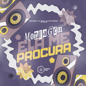 Montagem Ela Me Procura (Explicit)