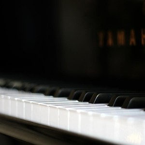 小隐在山林 - 卡兰东街