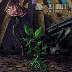 Polymorphs