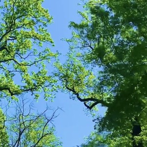 Ethereal Visions (Demo)