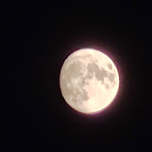 Q二少爷 - 忠孝东路走九遍