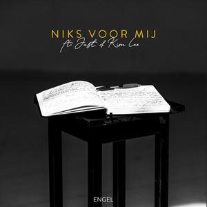 Niks Voor Mij (Explicit)