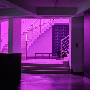 2025 08 25 (I am the worst of neurotic symptoms)