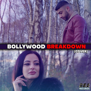 Bollywood Breakdown (Cover)