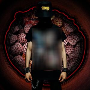 (0.2) PERITONITIS INFECCIOSA FELINA