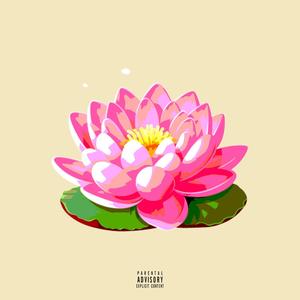 Lotus (Explicit)