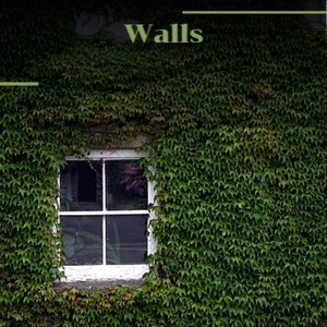 Walls