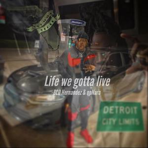 Life we gotta live (feat. qpNaro) [Explicit]