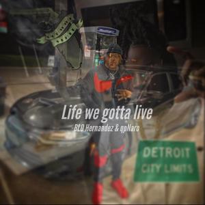 Life we gotta live (feat. qpNaro) (Explicit)