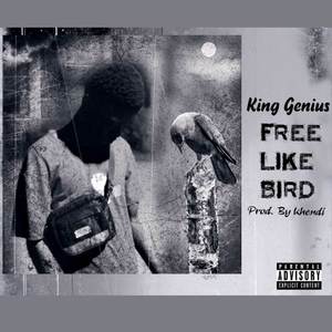 Free Like Bird (Explicit)