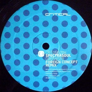 Organiser (Foreign Concept Remix) / One Chance (Emperor Remix)