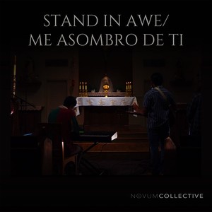 Stand in Awe / Me Asombro De Ti (Live)