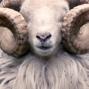 Daj si pozor, čomu uveríš