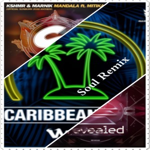Soul - W&W & Hardwell & KSHMR,Marnik,Mitika - Don't Stop Mandala Rave  (Soul Mashup)