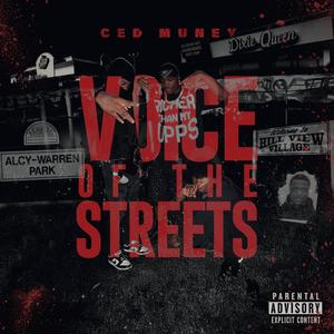 Different (feat. Tyree Da Gunman) (Explicit)