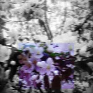 I'm Yours (feat. Nicole Ariana & Eric Dingus) (Explicit)