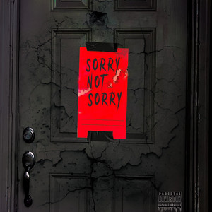 Sorry Not Sorry (Explicit)