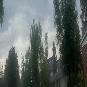 Questions (Explicit)