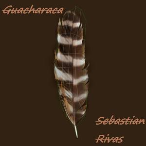 Guacharaca