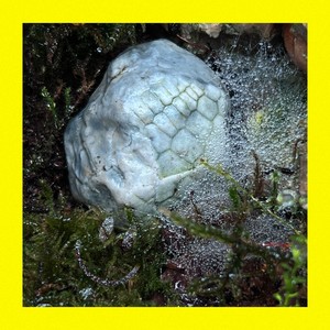 Return to the Source (Original)