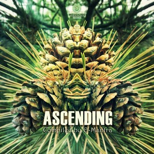Miss Spring (Original Mix)