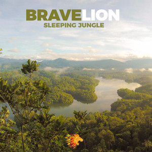 Sleeping Jungle