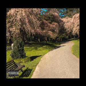 No Hay. (feat. Rodry Yellowzs & STFNO)