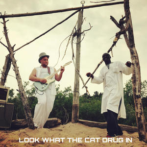 Look What The Cat **** In (feat. Sthorm Van Icen Bird & Monze)