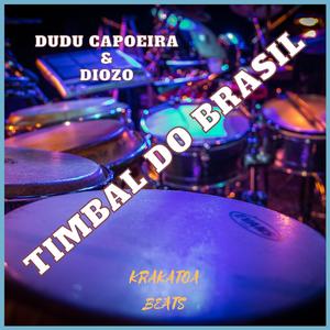 Timbal do Brasil