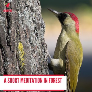 Maja Thomsen - Aqueous Mid Day Ocean Waves