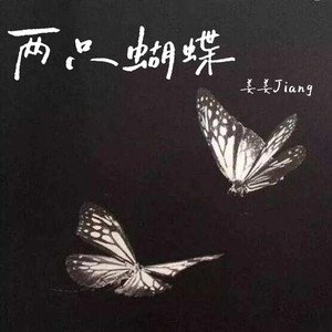 两只蝴蝶（亲爱的你慢慢飞）