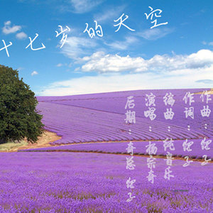 十七岁的天空