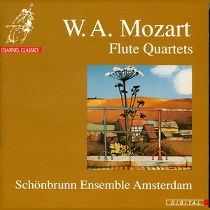 Quartet for Flute, Violin, Viola and Cello in G Major - Ib. Allegro molto (After No. 1 of Mozart's 